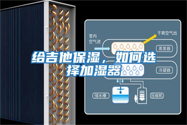 給吉他保濕，如何選擇加濕器