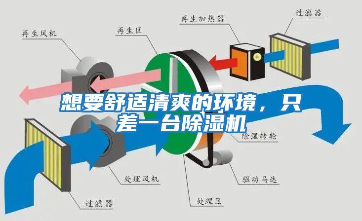 想要舒適清爽的環境，只差一臺除濕機
