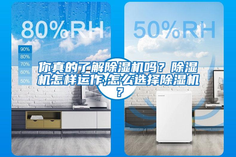 你真的了解除濕機嗎？除濕機怎樣運作,怎么選擇除濕機？