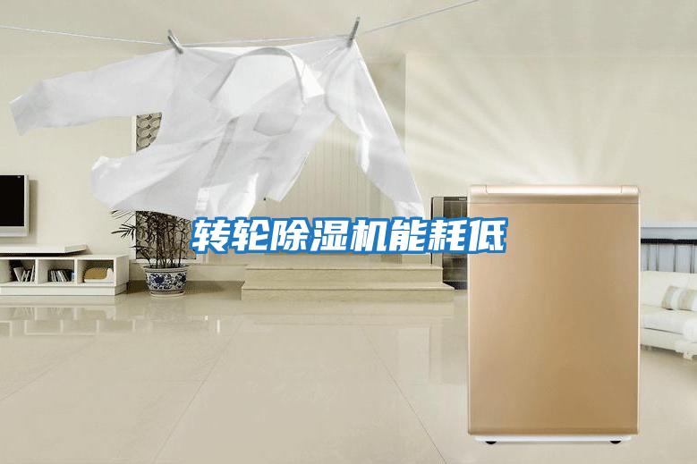 轉(zhuǎn)輪除濕機能耗低