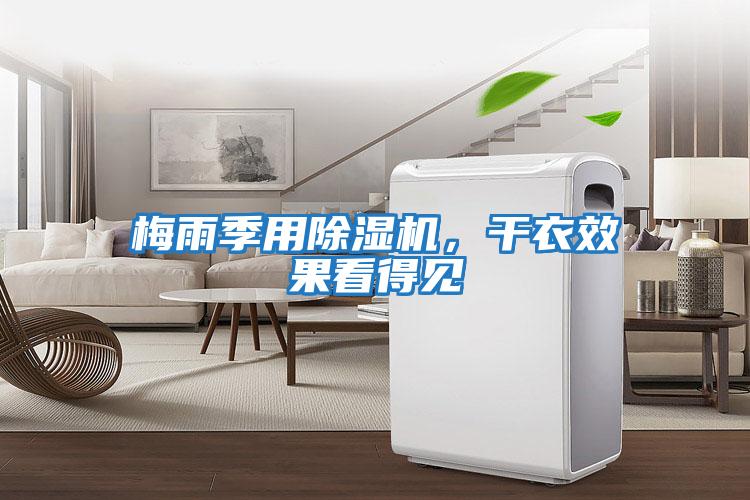 梅雨季用除濕機，干衣效果看得見