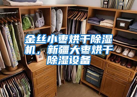 金絲小棗烘干除濕機(jī)，新疆大棗烘干除濕設(shè)備
