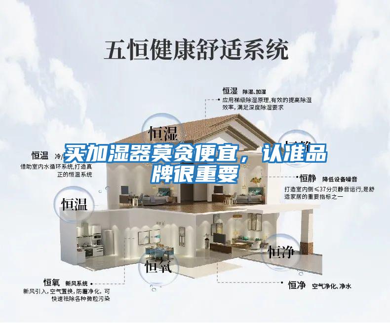 買加濕器莫貪便宜，認準品牌很重要