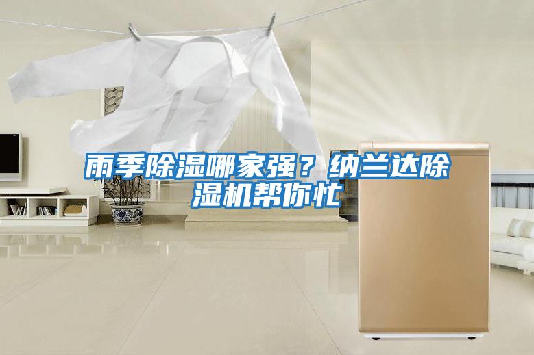 雨季除濕哪家強？納蘭達除濕機幫你忙
