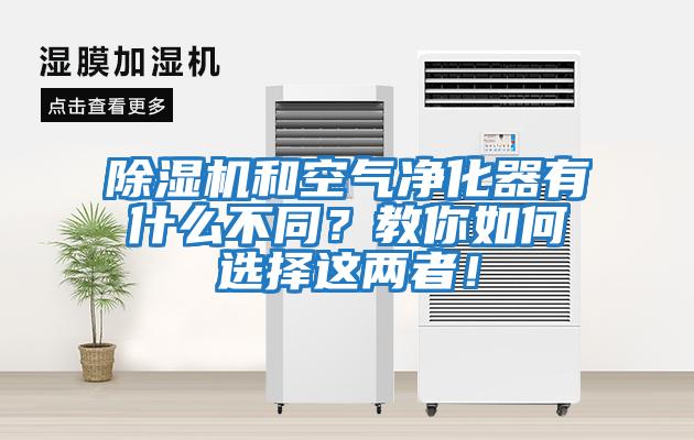 除濕機和空氣凈化器有什么不同？教你如何選擇這兩者！