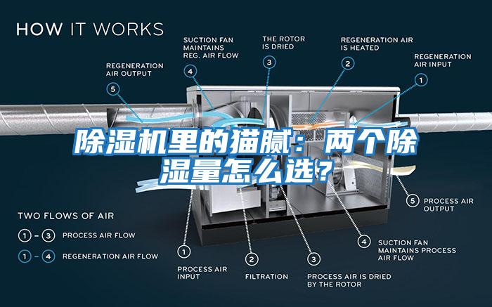 除濕機里的貓膩：兩個除濕量怎么選？