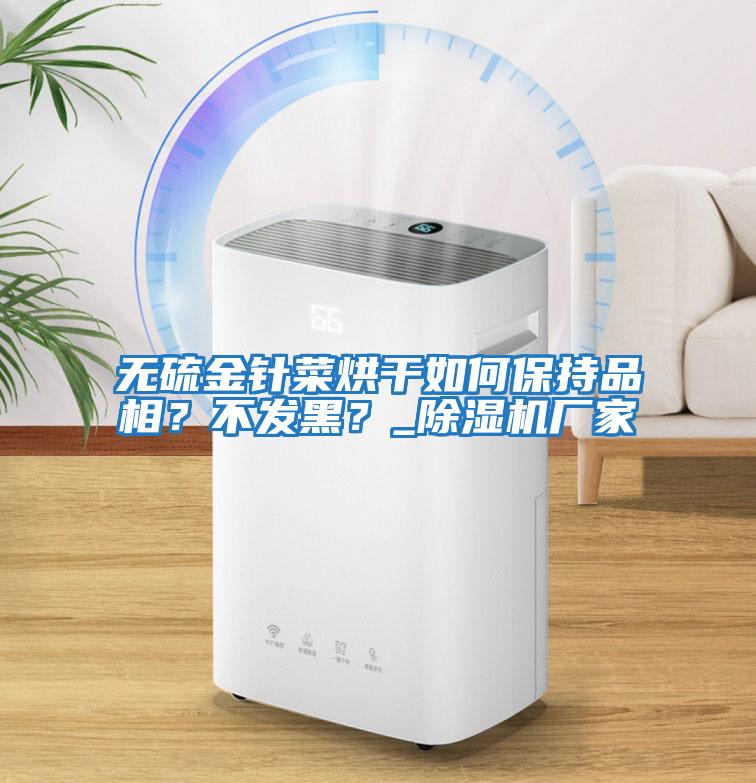 無硫金針菜烘干如何保持品相？不發黑？_除濕機廠家