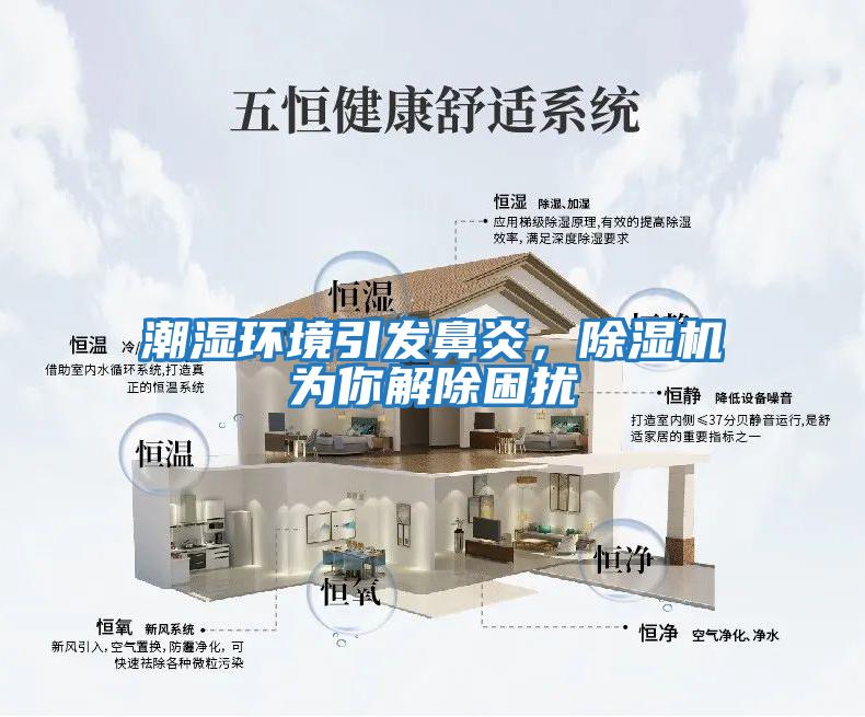 潮濕環(huán)境引發(fā)鼻炎，除濕機為你解除困擾