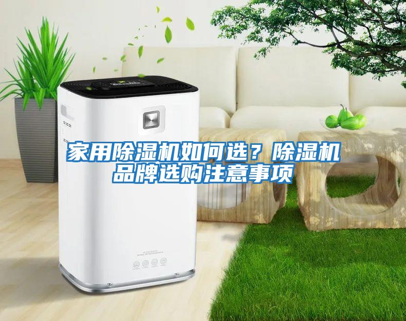 家用除濕機(jī)如何選？除濕機(jī)品牌選購(gòu)注意事項(xiàng)