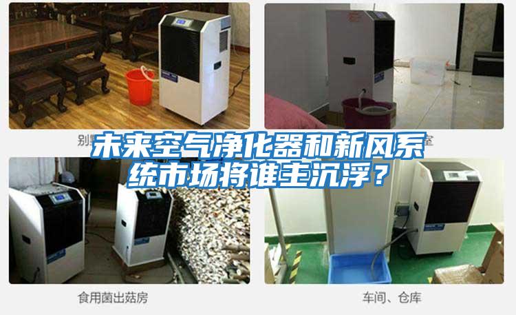 未來空氣凈化器和新風系統市場將誰主沉?。?/></p>
						    <p style=