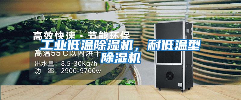 工業低溫除濕機，耐低溫型除濕機