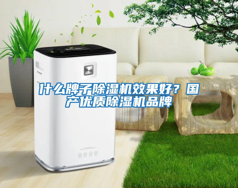 什么牌子除濕機(jī)效果好？國(guó)產(chǎn)優(yōu)質(zhì)除濕機(jī)品牌
