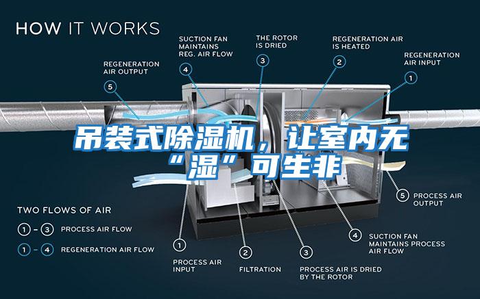 吊裝式除濕機(jī)，讓室內(nèi)無“濕”可生非