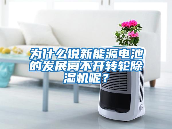 為什么說(shuō)新能源電池的發(fā)展離不開(kāi)轉(zhuǎn)輪除濕機(jī)呢？