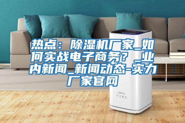 熱點：除濕機廠家_如何實戰電子商務？_業內新聞_新聞動態-實力廠家官網