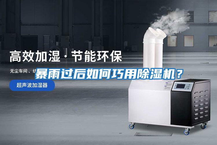 暴雨過后如何巧用除濕機？