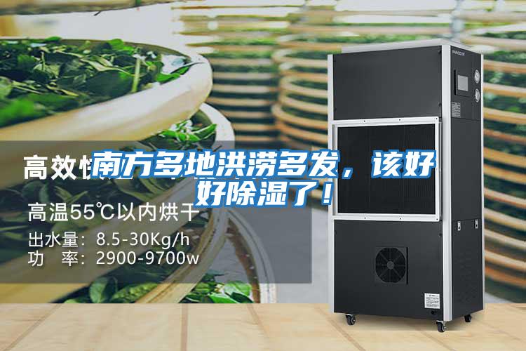 南方多地洪澇多發(fā)，該好好除濕了！