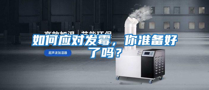 如何應對發霉，你準備好了嗎？