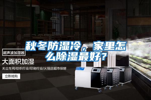 秋冬防濕冷，家里怎么除濕最好？