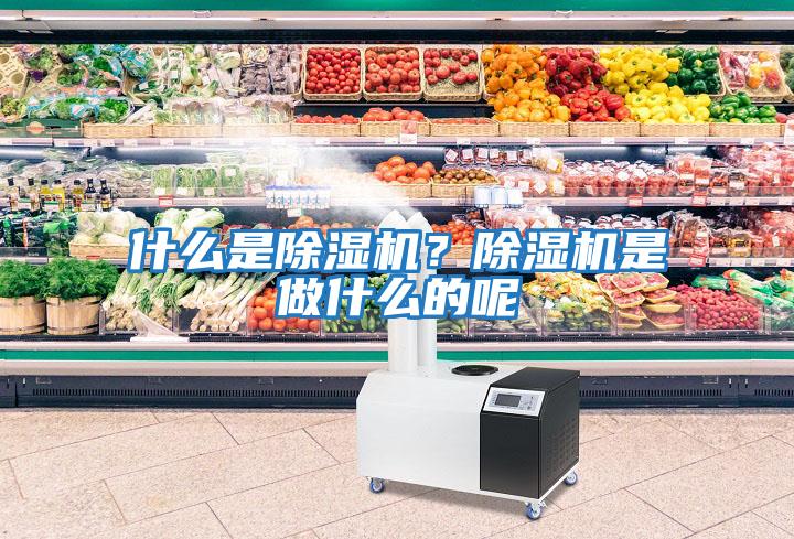 什么是除濕機？除濕機是做什么的呢