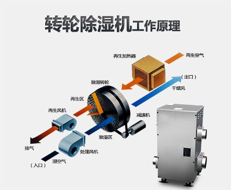 世界過敏性疾病日，新風系統保持室內干燥清爽