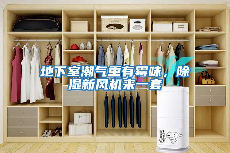 地下室潮氣重有霉味，除濕新風機來一套