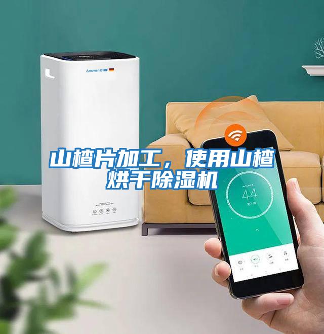 山楂片加工，使用山楂烘干除濕機