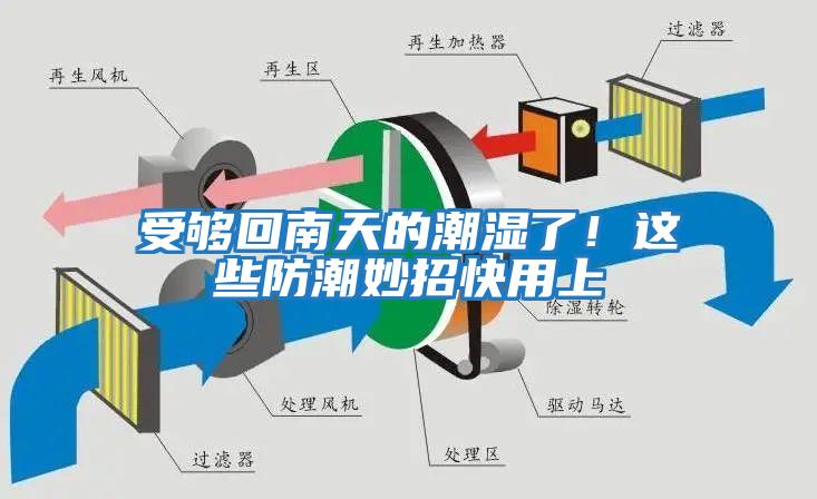 受夠回南天的潮濕了！這些防潮妙招快用上