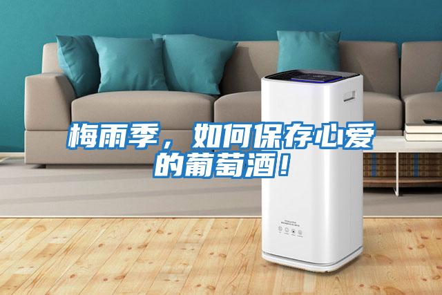 梅雨季，如何保存心愛的葡萄酒！