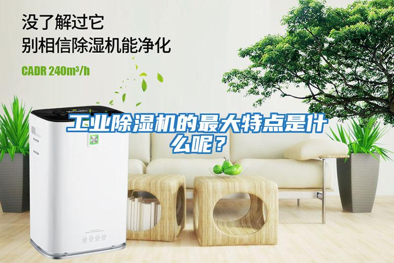 工業(yè)除濕機(jī)的最大特點是什么呢？