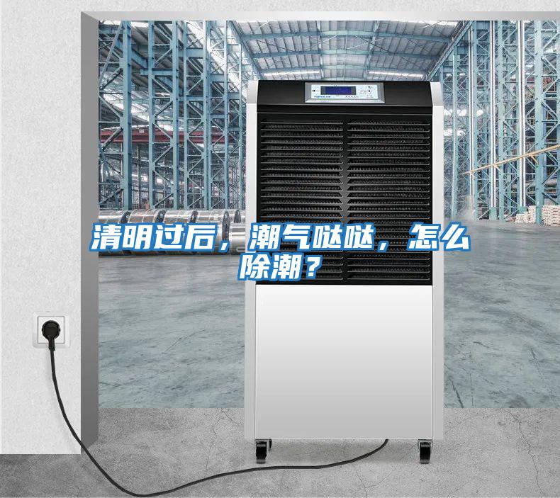 清明過后，潮氣噠噠，怎么除潮？