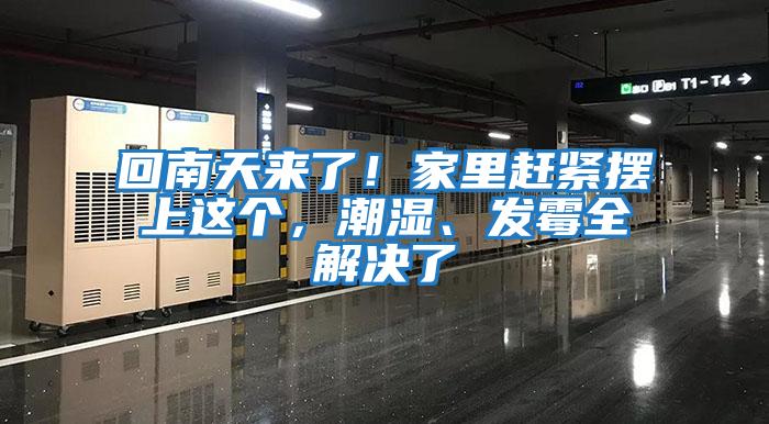 回南天來了！家里趕緊擺上這個，潮濕、發(fā)霉全解決了