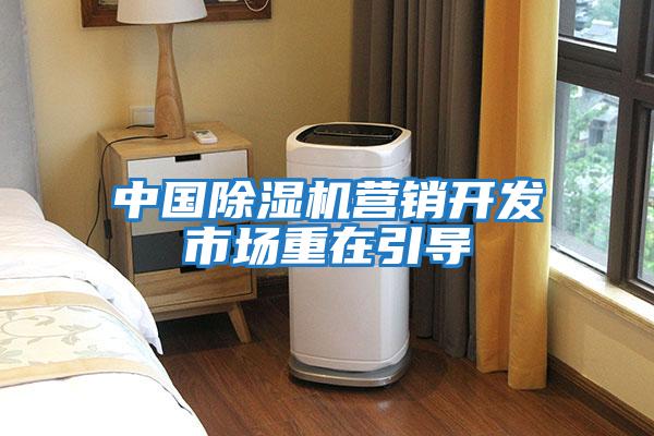 中國除濕機(jī)營銷開發(fā)市場重在引導(dǎo)