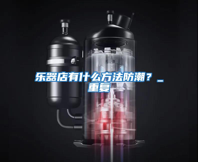 樂器店有什么方法防潮？_重復
