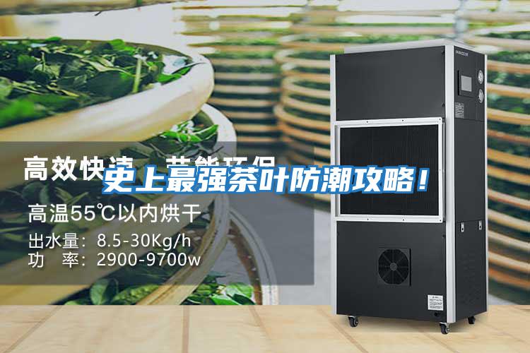 史上最強茶葉防潮攻略！