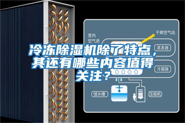 冷凍除濕機(jī)除了特點,其還有哪些內(nèi)容值得關(guān)注?