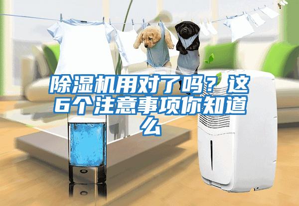 除濕機用對了嗎？這6個注意事項你知道么
