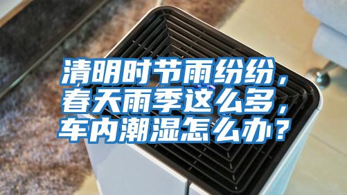 清明時節雨紛紛，春天雨季這么多，車內潮濕怎么辦？