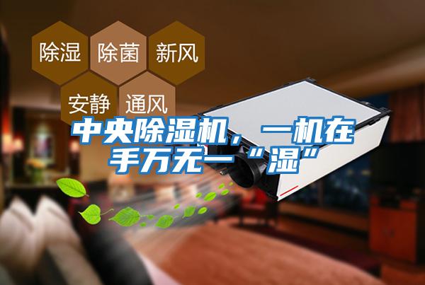 中央除濕機，一機在手萬無一“濕”