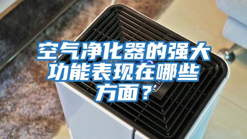 空氣凈化器的強大功能表現在哪些方面？