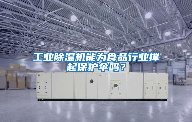 工業(yè)除濕機(jī)能為食品行業(yè)撐起保護(hù)傘嗎？