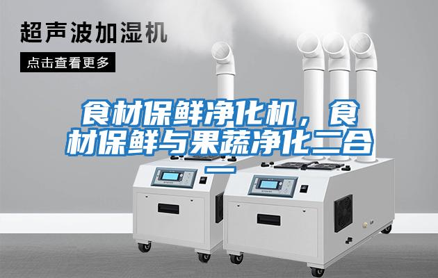 食材保鮮凈化機(jī)，食材保鮮與果蔬凈化二合一