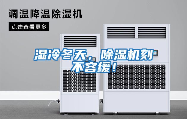 濕冷冬天，除濕機刻不容緩！