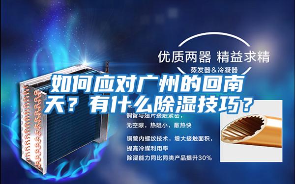 如何應對廣州的回南天？有什么除濕技巧？