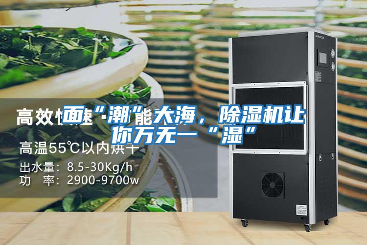 面“潮”大海，除濕機讓你萬無一“濕”