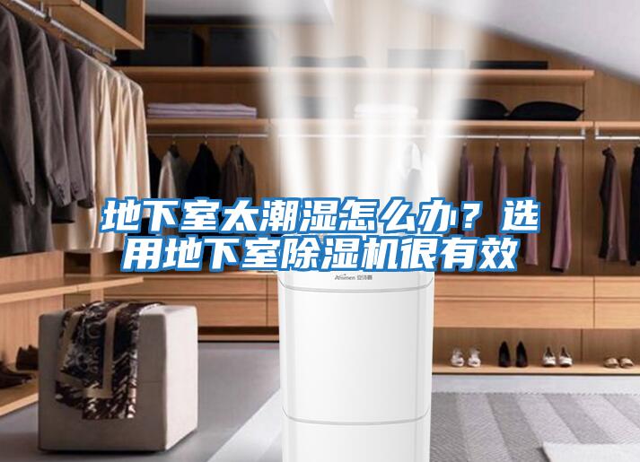 地下室太潮濕怎么辦？選用地下室除濕機(jī)很有效