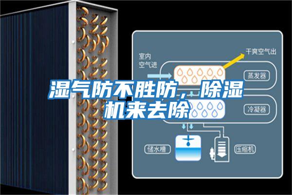 濕氣防不勝防，除濕機來去除