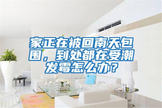家正在被回南天包圍，到處都在受潮發霉怎么辦？