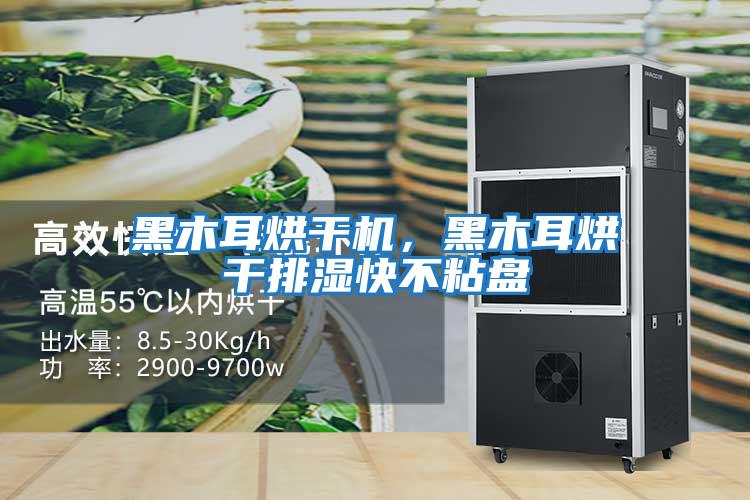 黑木耳烘干機，黑木耳烘干排濕快不粘盤