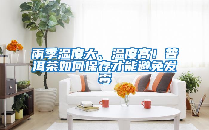 雨季濕度大、溫度高！普洱茶如何保存才能避免發(fā)霉